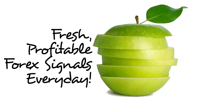 The Magic of Forex Signals'