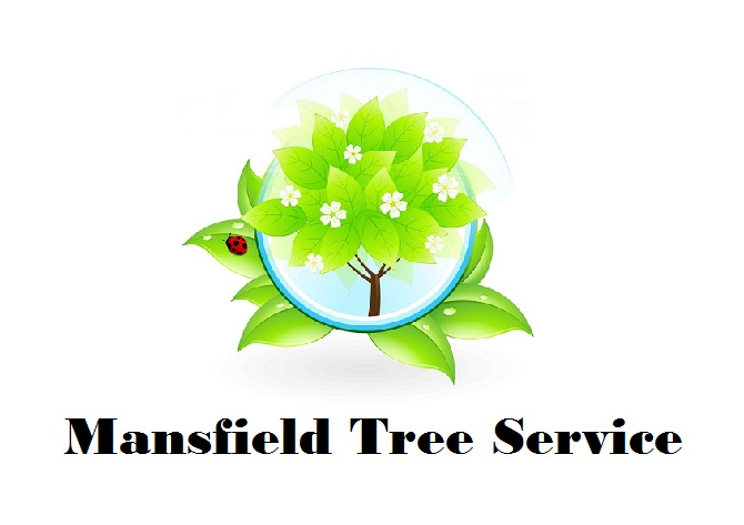 Company Logo For Mansfield Tree Service'