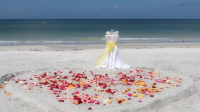 Florida Beach Weddings on a Budget
