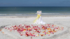 Florida Beach Weddings on a Budget'