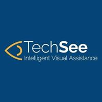 Company Logo For TechSee'