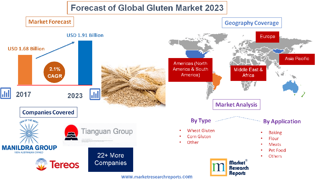 Forecast of Global Gluten Market 2023'