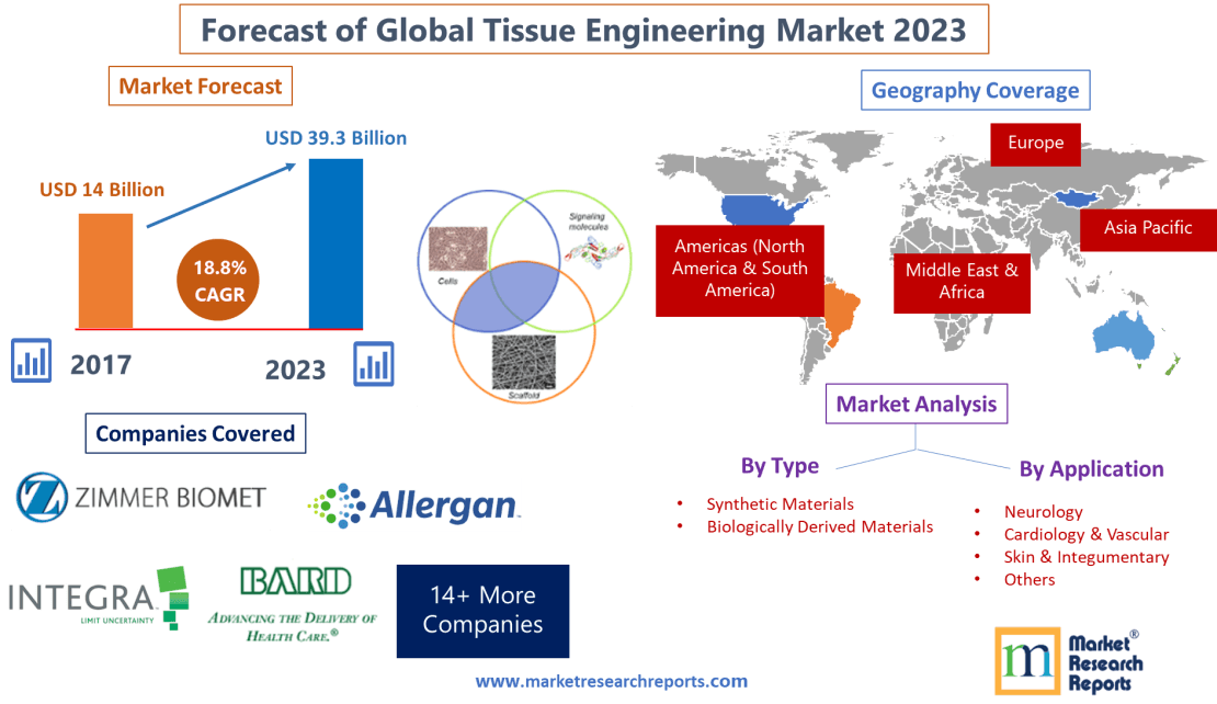 Forecast of Global Tissue Engineering Market 2023