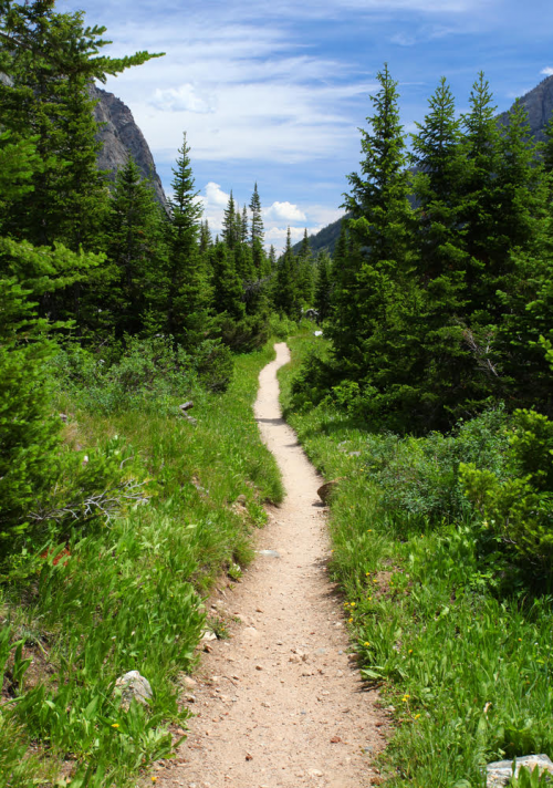 Go Hiking in Ouray This Summer'