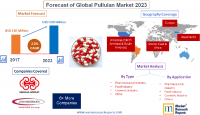 Forecast of Global Pullulan Market 2023