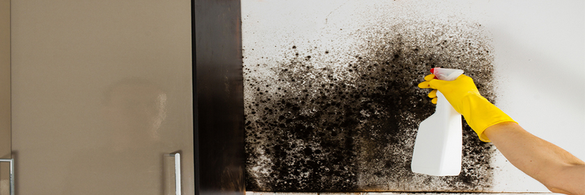 Company Logo For Mold Remediation Hobe Sound'