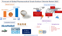 Forecast of Global Pharmaceutical Grade Sodium Chloride 2023