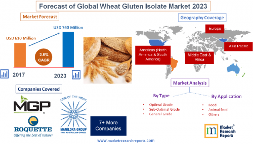 Forecast of Global Wheat Gluten Isolate Market 2023'