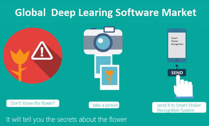 Deep Learning Software Market'