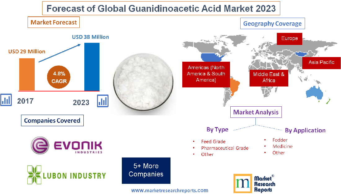 Forecast of Global Guanidinoacetic Acid Market 2023'