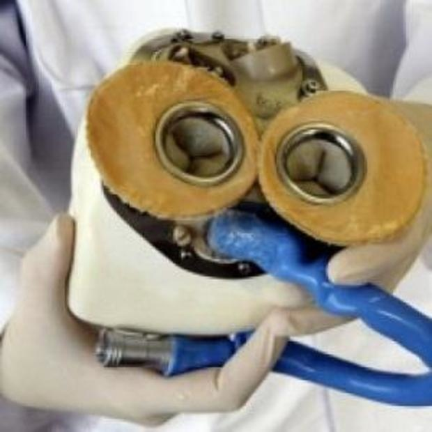 Cardiovascular Prosthetic Devices'