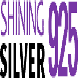 Shining silver 925 Logo