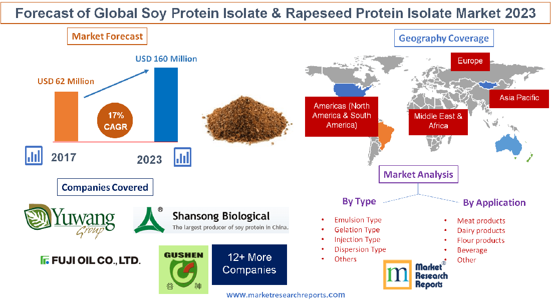 Forecast of Global Soy Protein Isolate and Rapeseed Protein'