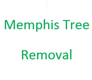 Memphis Tree Removal'