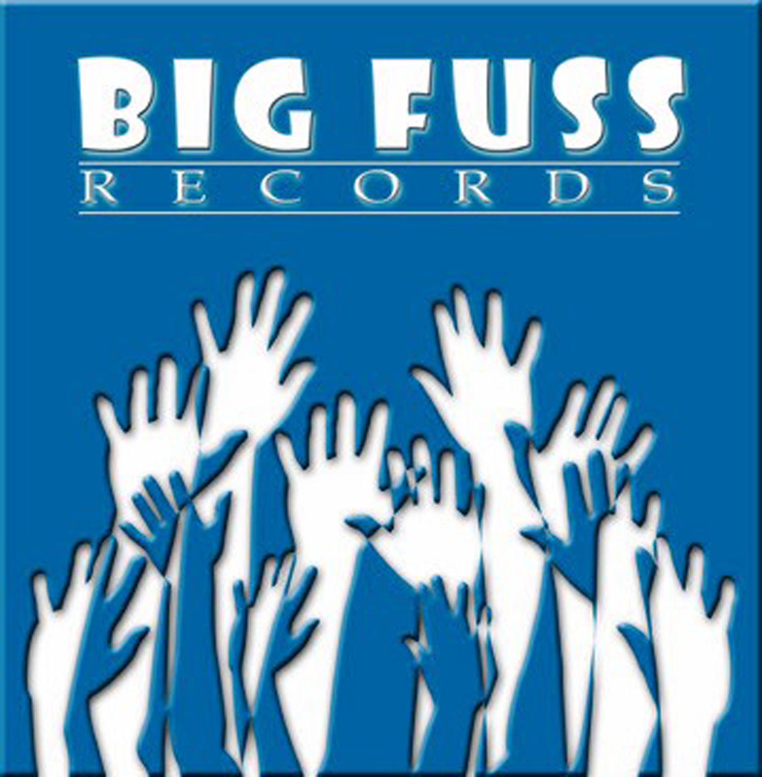 Big Fuss Logo'