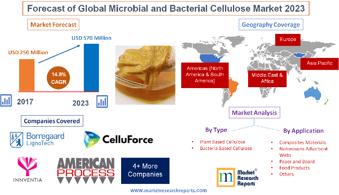 Forecast of Global Microbial and Bacterial Cellulose Market