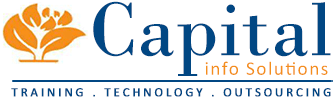 Company Logo For capital info solution'