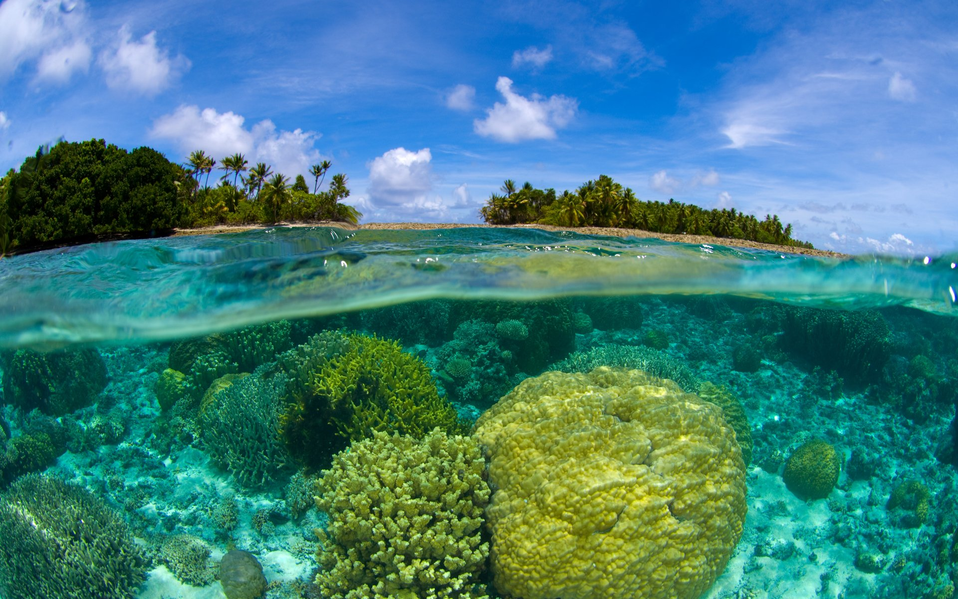 The Marshall Islands