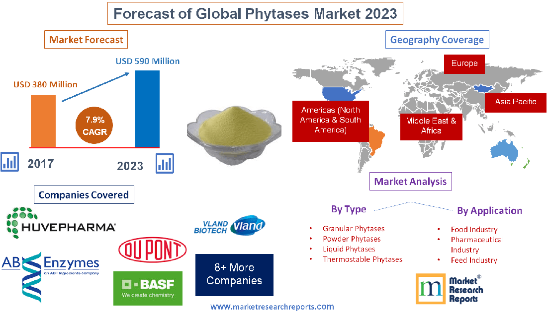 Forecast of Global Phytases Market 2023