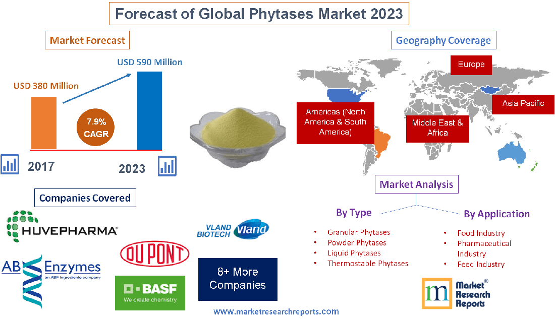 Forecast of Global Phytases Market 2023'