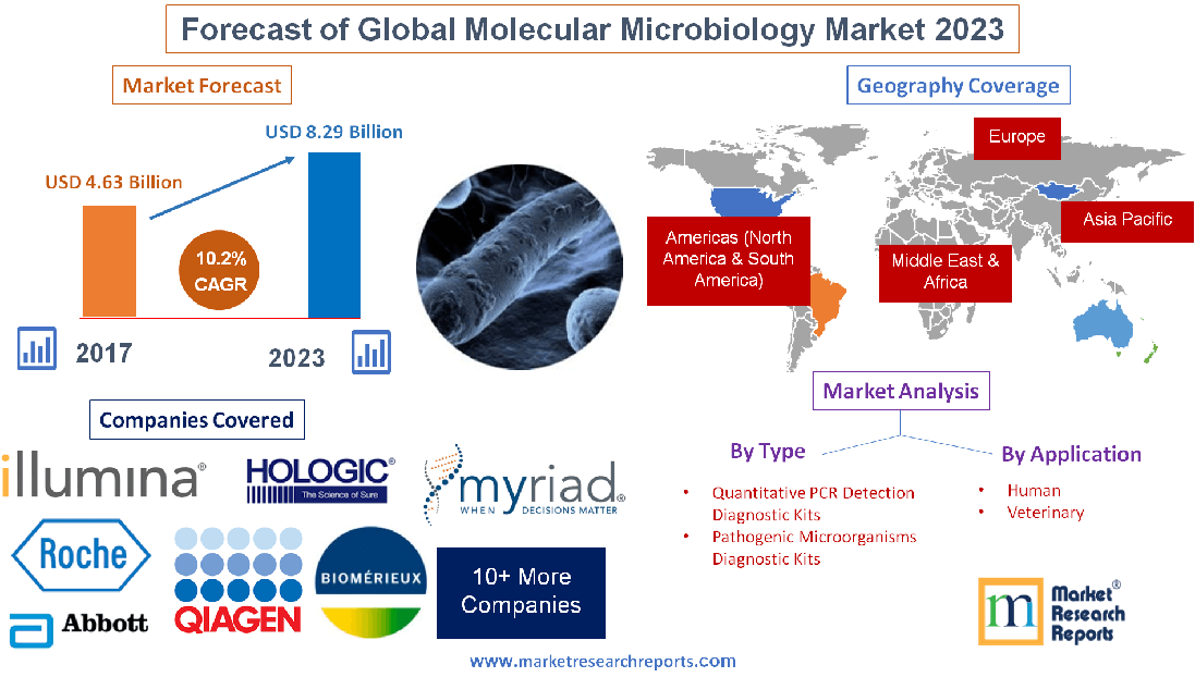 Forecast of Global Molecular Microbiology Market 2023'