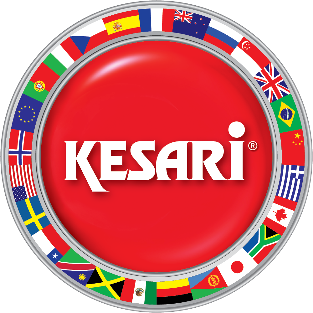 KESARI  TOURS PVT LTD Logo
