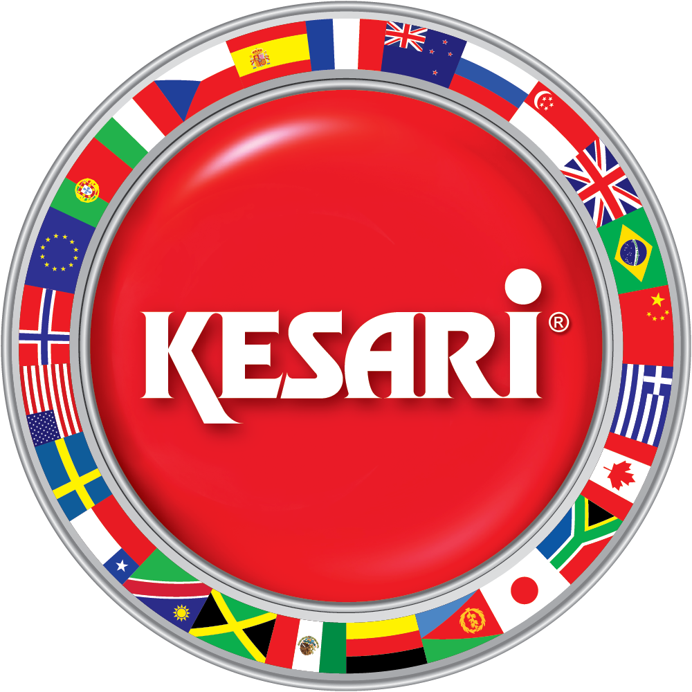 KESARI  TOURS PVT LTD