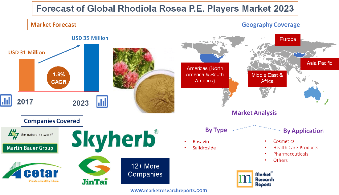 Forecast of Global Rhodiola Rosea P.E. Players Market 2023'