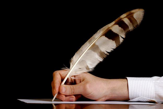 Welcome to the world of Bonzoi!