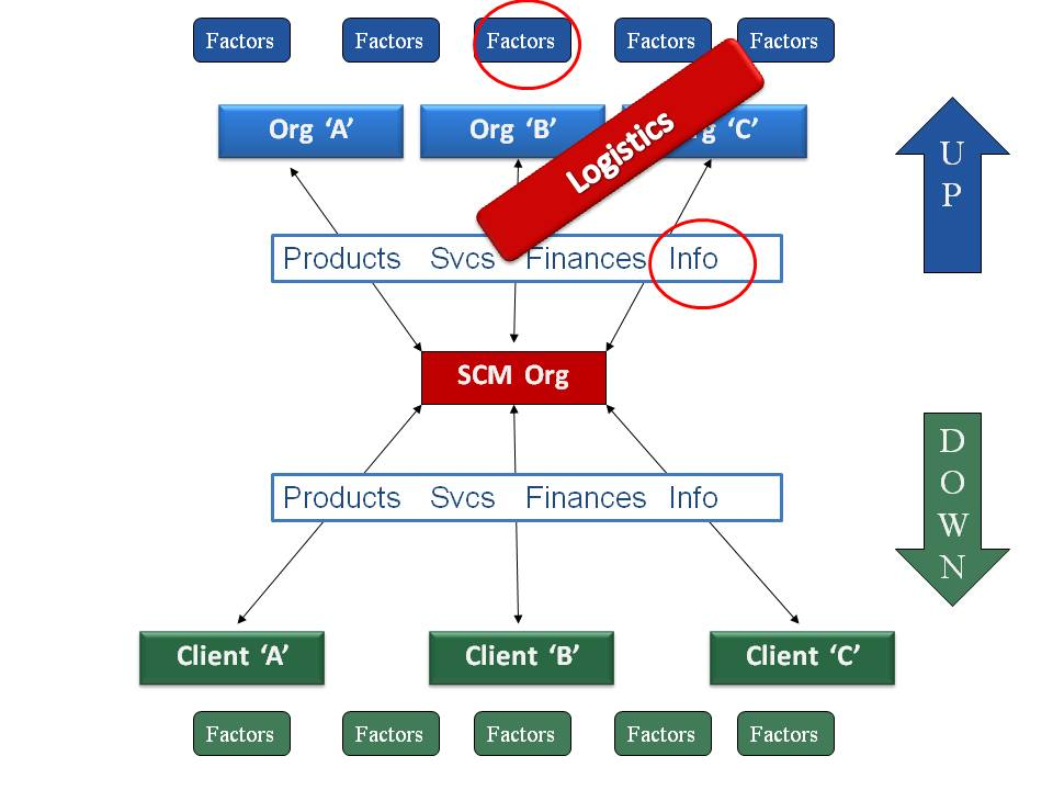 Supply Chain Management Software'