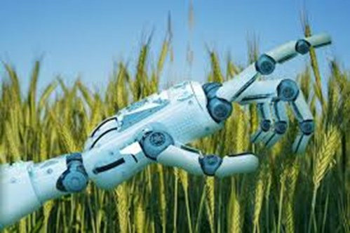 Artificial Intelligence in Agriculture