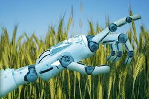 Artificial Intelligence in Agriculture'