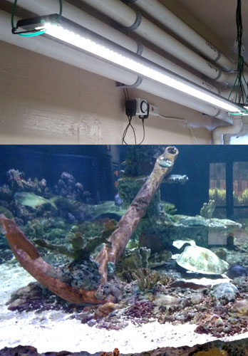 office-buildings-led-lighting-retrofitting'