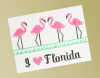 Logo Digitizing Services in Florida