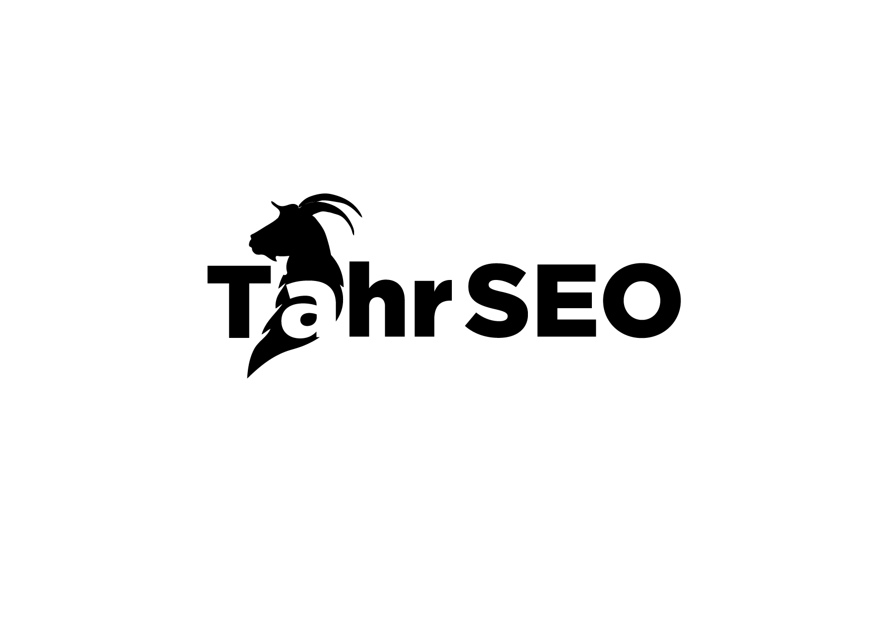 Professional SEO Service'