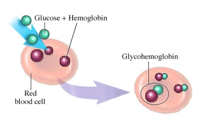 Glycosylated Hemoglobin Tests'