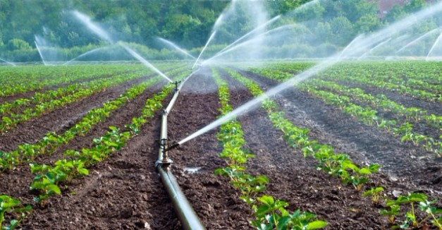 Micro Irrigation Systems