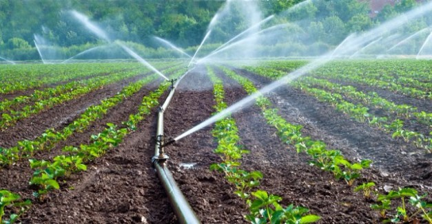 Micro Irrigation Systems'