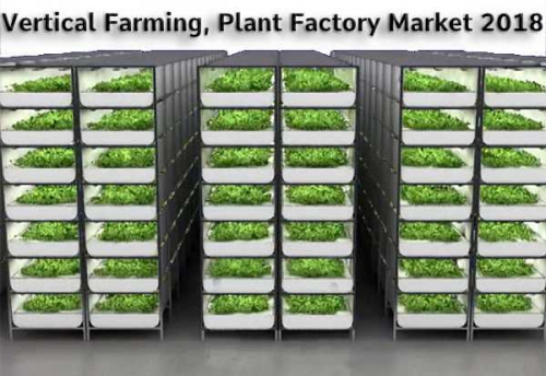 +20% CAGR Growth To Be Achieved By Vertical Farming, Plant F'