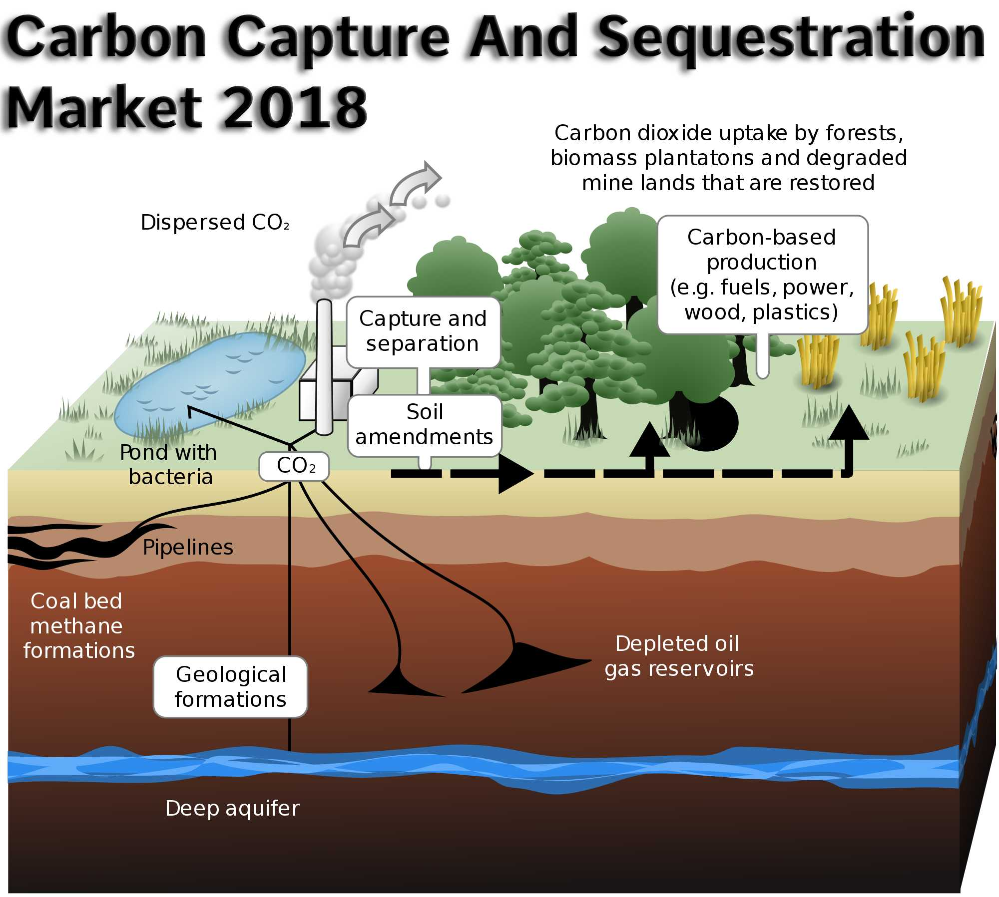 Exclusive Report on Carbon Capture And Sequestration Market'