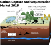 Exclusive Report on Carbon Capture And Sequestration Market