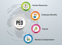 Professional Employer Organizations market