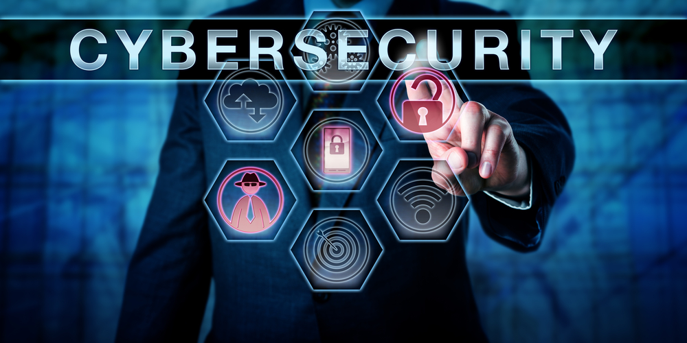 Government Cyber Security