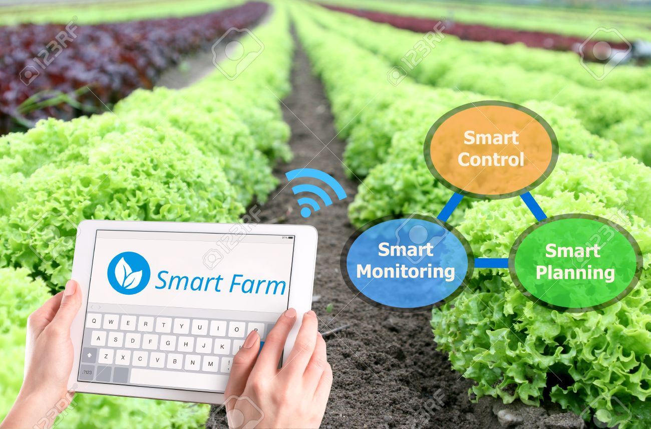 Smart Farming'