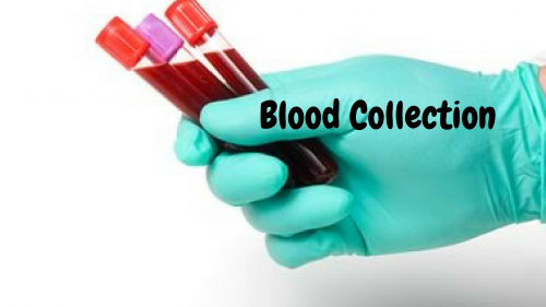 Blood Collection'