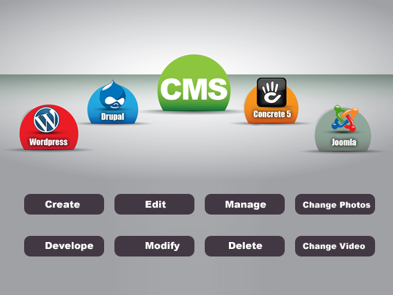 Company Logo For Web Development Company'