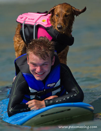Dog surfing with disabled boy'