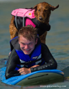 Dog surfing with disabled boy'