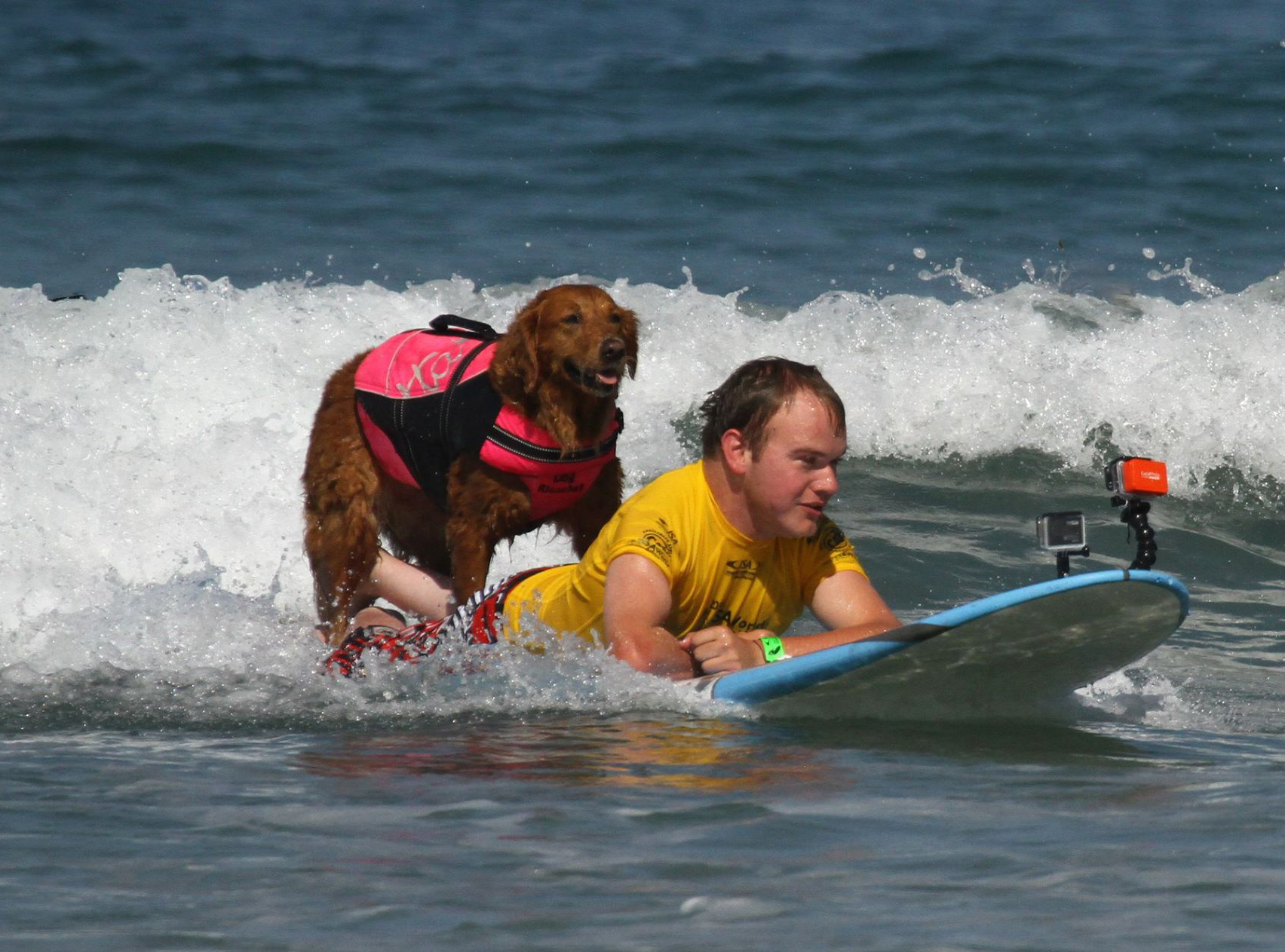 Surf Dog Ricochet &amp; Patrick Ivison'