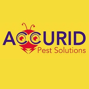 Accurid Pest Solutions Inc. Logo